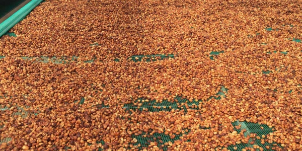 14ebf571af5f5101084e 14ebf571af5f5101084e