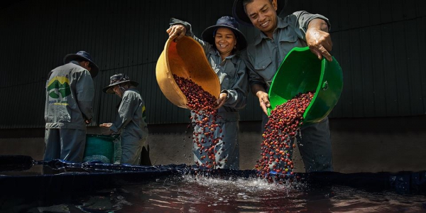 4 3b496cda3e1cde42870d