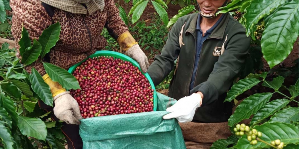 IMG_20201217_091101_202 IMG 20201217 091101 202