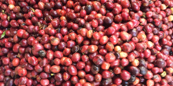 a2d2761a2c34d26a8b25 a2d2761a2c34d26a8b25