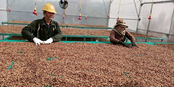 beauty_20201217095102 beauty 20201217095102