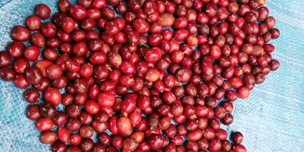 beauty_20201217095659 beauty 20201217095659