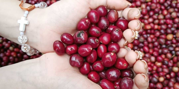 beauty_20201217102539 beauty 20201217102539