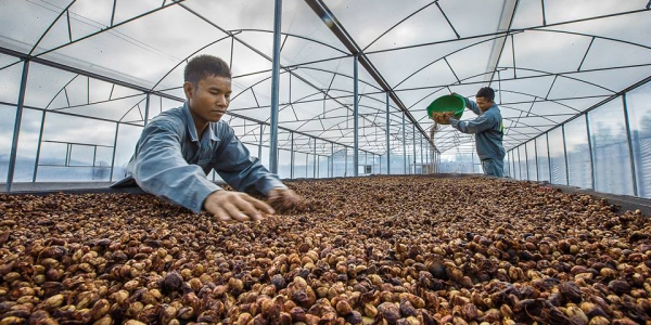 bf13d60d8bcb6b9532da bf13d60d8bcb6b9532da