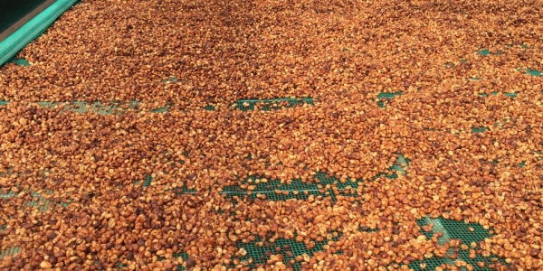 14ebf571af5f5101084e