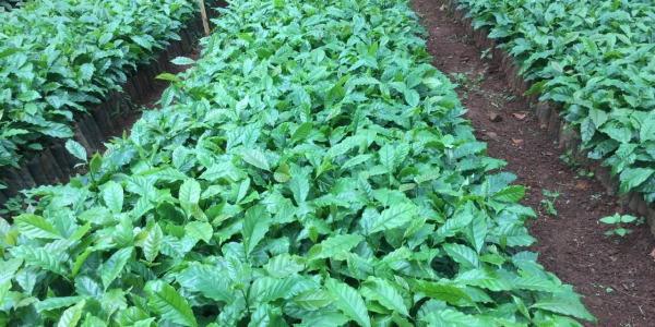 338e7c6f069bf3c5aa8a45