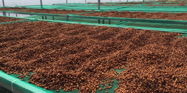 369412294807b659ef16