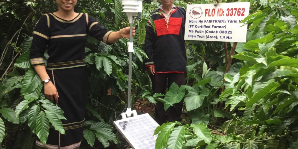 3d84f29886f073ae2ae125