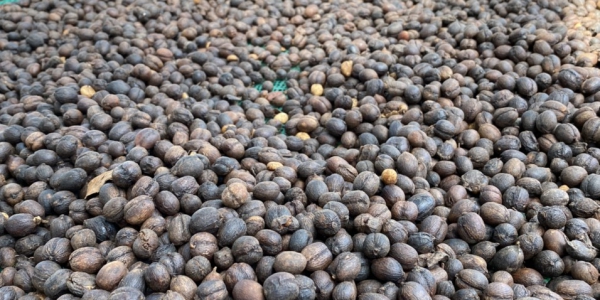 49edd74ca0b855e60ca939