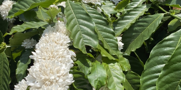 63d7d2edab195e47070840