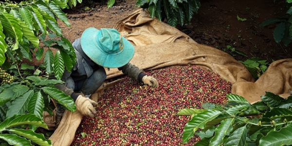 6bd002065828a676ff39