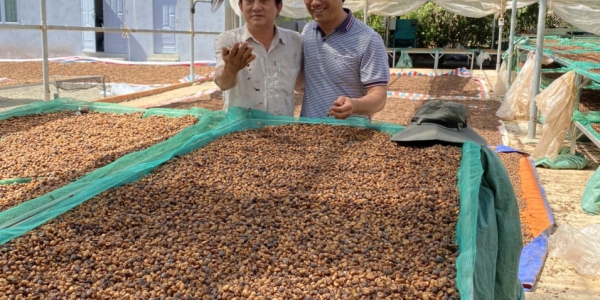 6fd2364b43bfb6e1efae33