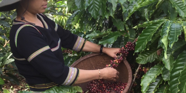 8f2c80b3f04705195c5626