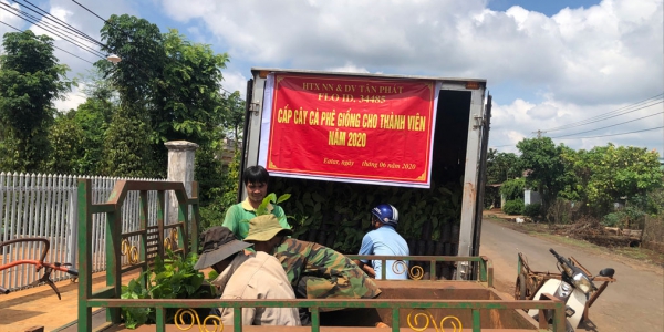 Cấp-cây-giống-2 Cap cay giong 2