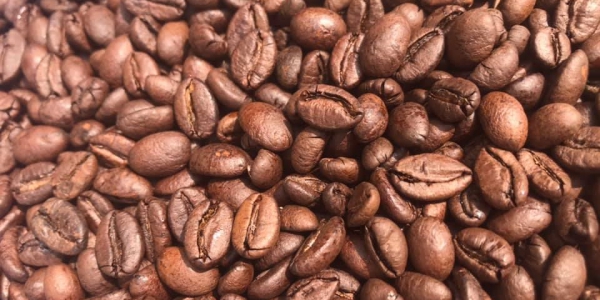 Robusta