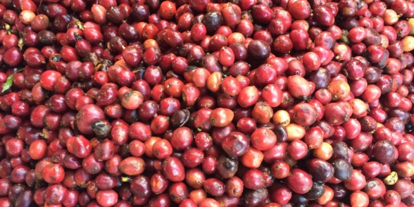 a2d2761a2c34d26a8b25