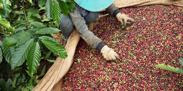 adec57050d2bf375aa3a