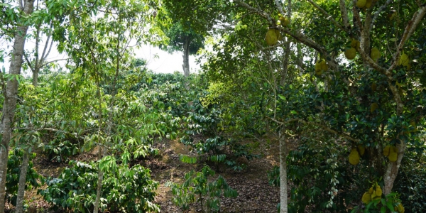 bacadd6e64999fc7c688