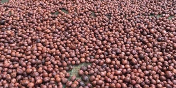 c473d0e6bf124a4c130321