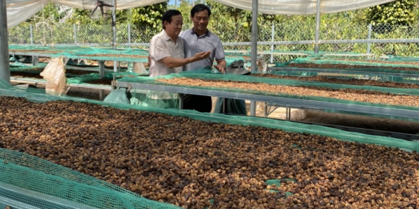 ca658deaf81e0d40540f34