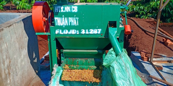 chế biến cà phê honey che bien ca phe honey