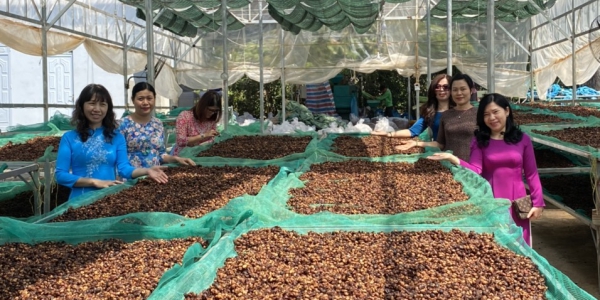 d7ac03df752b8075d93a35