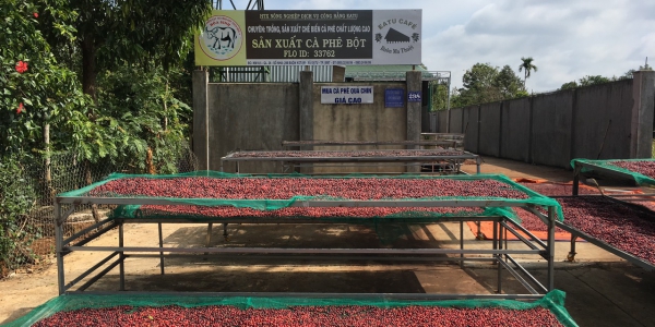 d8b065661492e1ccb88329