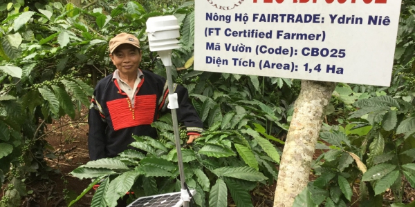 d97e412931ddc4839dcc22