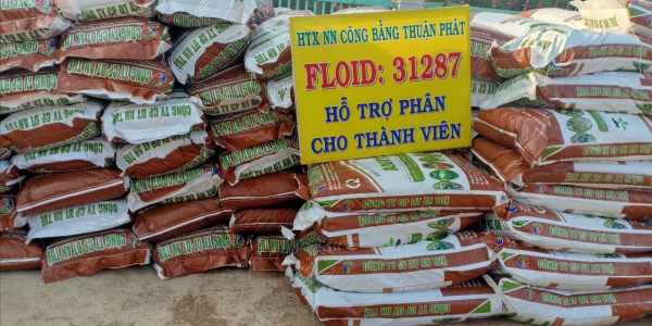 hỗ trợ phân bón cho thành viên 1 ho tro phan bon cho thanh vien 1