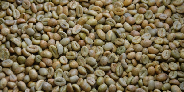 san pham ben vung 28454