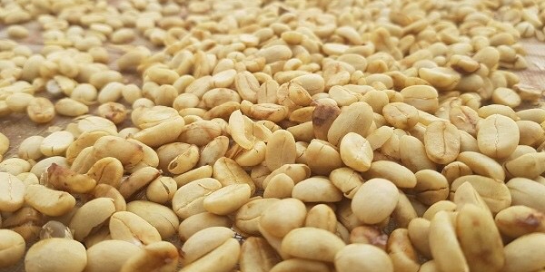 295f4b8dc83f3e61672e17