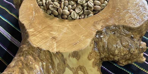 74998e5193a565fb3cb424