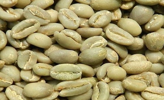 7b1279d4fa660c38557718