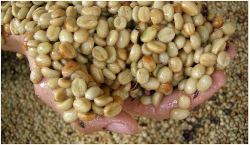 9124d2e75155a70bfe4419