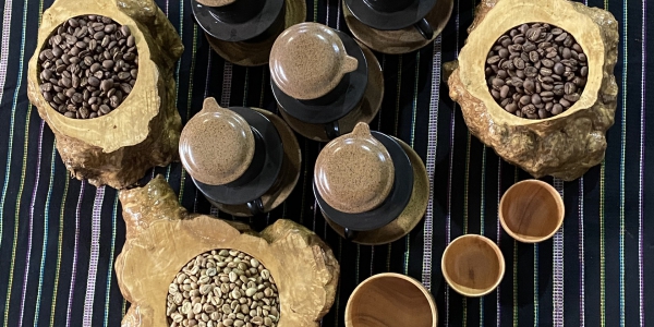 bf79de90c364353a6c7527