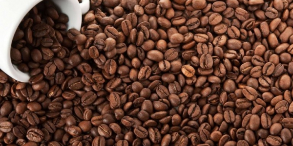 cafe nguyen chat 768x518 1